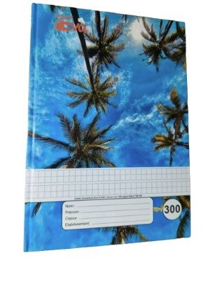 Cahier TP 300 pages