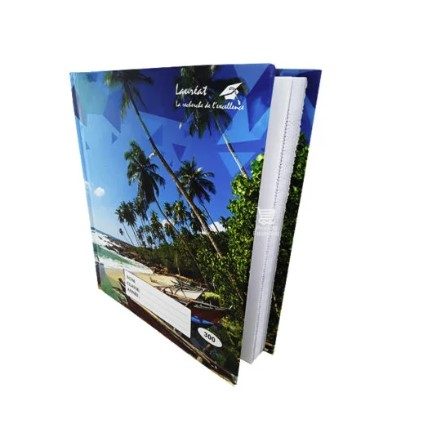 Cartonnier 300 pages lignes bleues