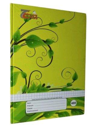 Cartonnier 400 pages TP